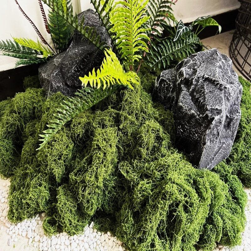 Aqumotic 1m Künstlicher Rasen  – Wedding Tap Bewertung und Preis